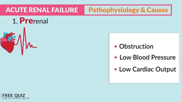 Renal Failure, Chronic Kidney Disease l End Stage Renal Disease for Nursing Exams, NCLEX RN & LPN смотреть онлайн