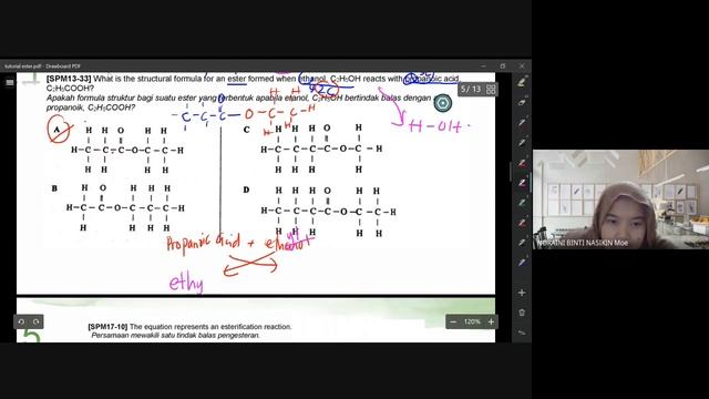 tutorial ester смотреть онлайн