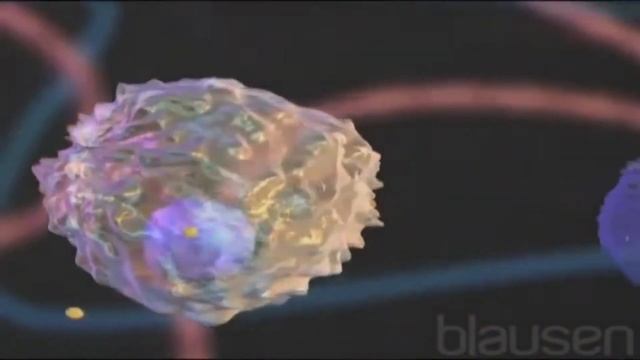 Аллергия себебі және әсер ету механизімі✅ смотреть онлайн