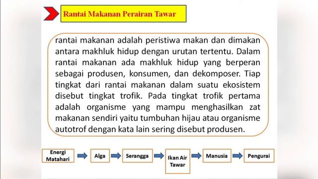 Ekosistem Perairan Tawar 1. Rantai Makanan 2. Aliran Energi 3. Produktivitas смотреть онлайн