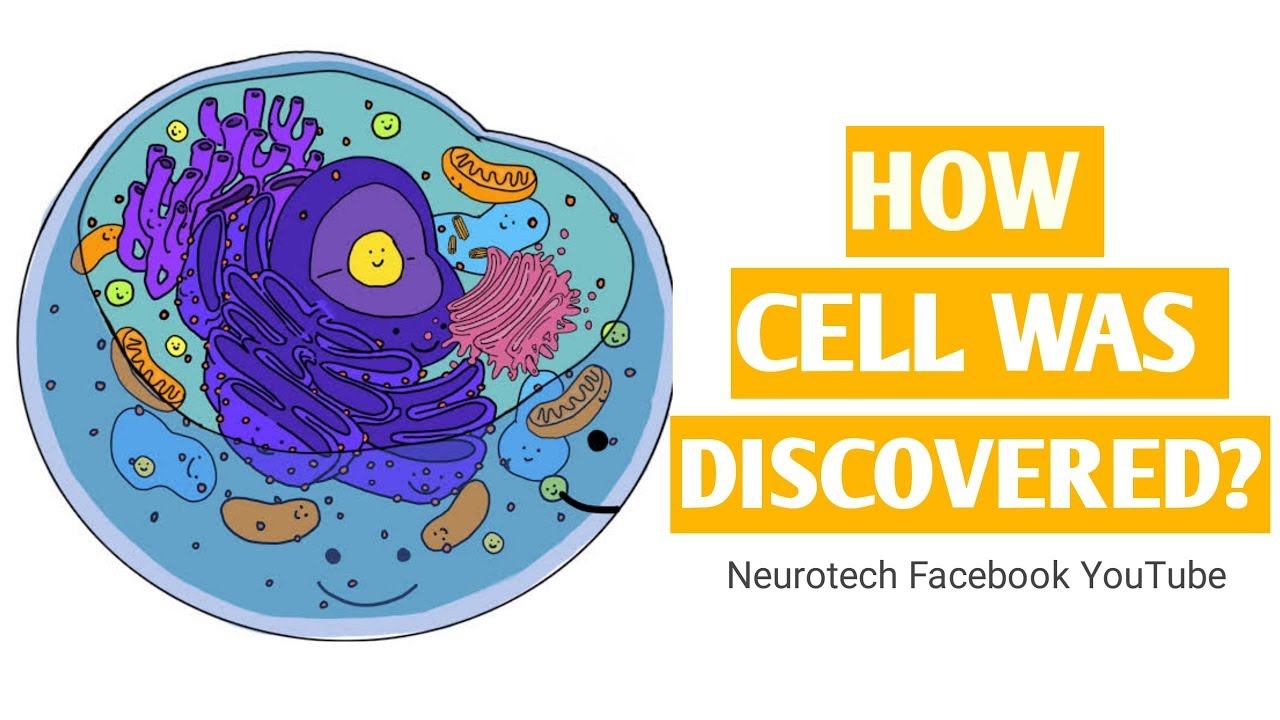 An Introduction to cell. смотреть онлайн
