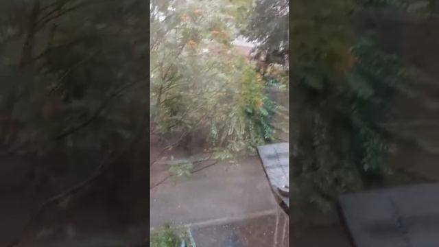 Отдых в Находке