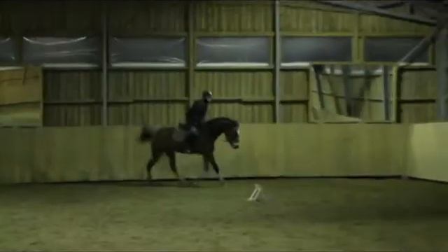 Meilla menee α.ι.и.α hyvin :D смотреть онлайн