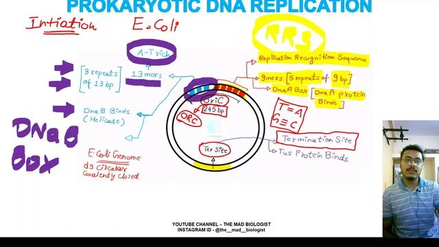 Prokaryotic DNA Replication In Hindi CSIR NET #Prokaryotic #DNA #Replication #In #Hindi #CSIR #NET смотреть онлайн