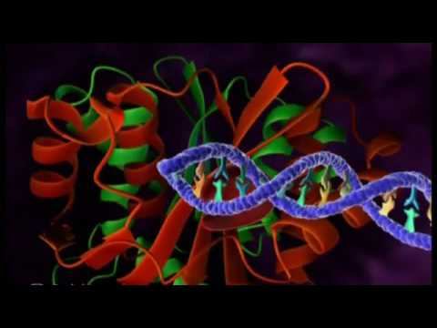 1 Репликация ВИЧ смотреть онлайн
