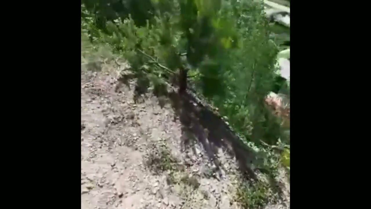 Томск смотреть онлайн