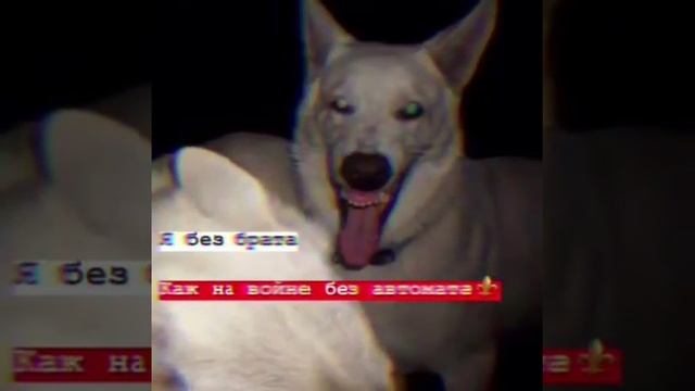 Крылатые и сильные фразы смотреть онлайн
