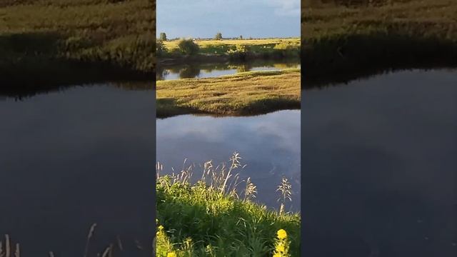 Сам себя считаю городским теперь я... #nature #природа #топ #village #sorts смотреть онлайн
