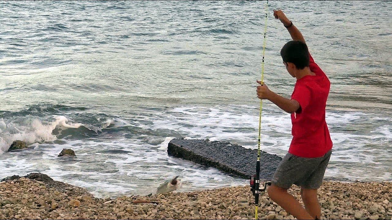 Кефалония и хищниците - част 1 / Predator fishing in Cephalonia - part 1 смотреть онлайн