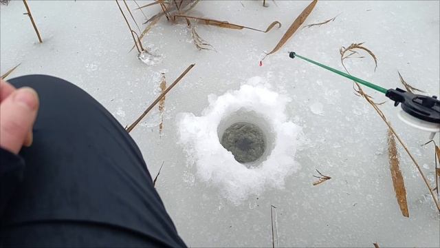 СЕЗОН ЗАКРЫТ. ДО ВСТРЕЧИ НА ОТКРЫТОЙ ВОДЕ)