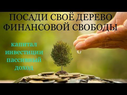 НАКОПЛЕНИЕ КАПИТАЛА 💰 ИНВЕСТИЦИИ 💰 ПАСИВНЫЙ ДОХОД 💰 ФИНАНСОВАЯ СВОБОДА 💰FREEDOM FINANCE 💰АКТИВЫ смотреть онлайн
