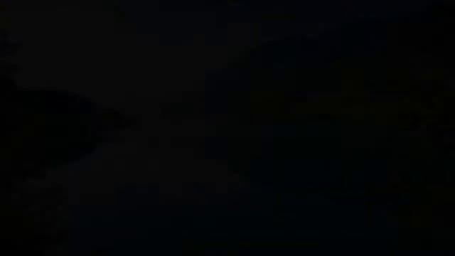 разнообразие природы смотреть онлайн