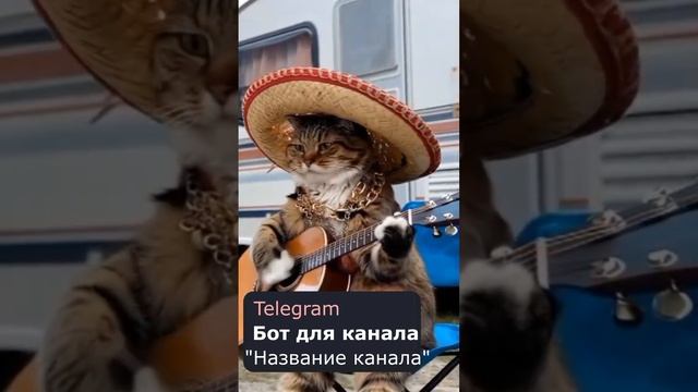 бот для канала смотреть онлайн