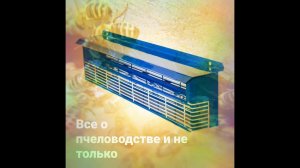 Все об трутнеуловителе