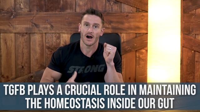 Cheese Is Good For Your Gut - New Findings!