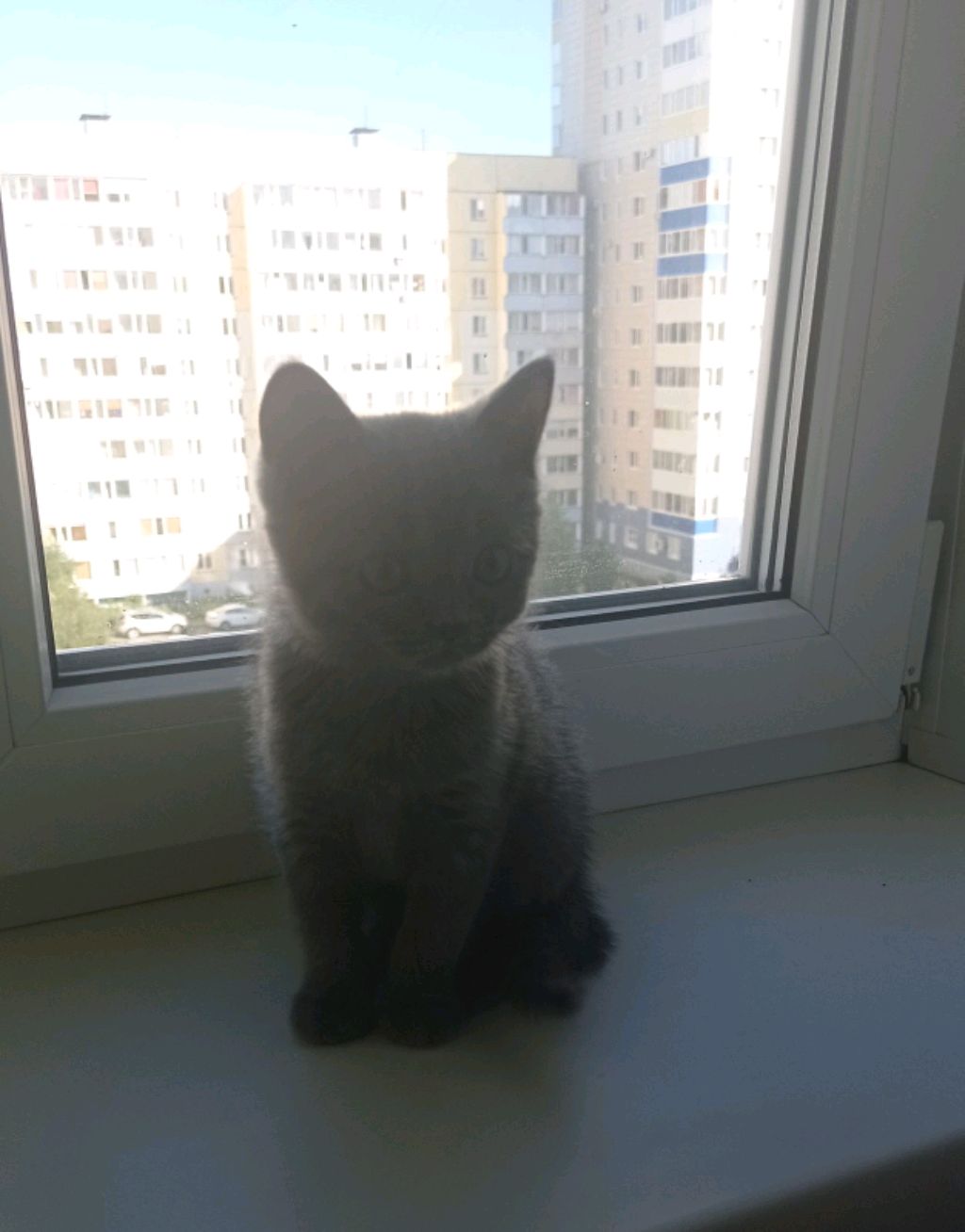 убираюсь на столе 2. смотреть онлайн
