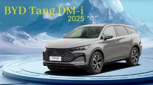 BYD Tang 2025 модельный год