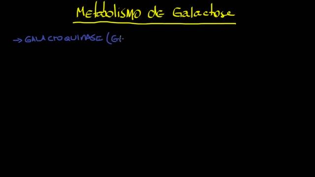 Metabolismo De Galactose