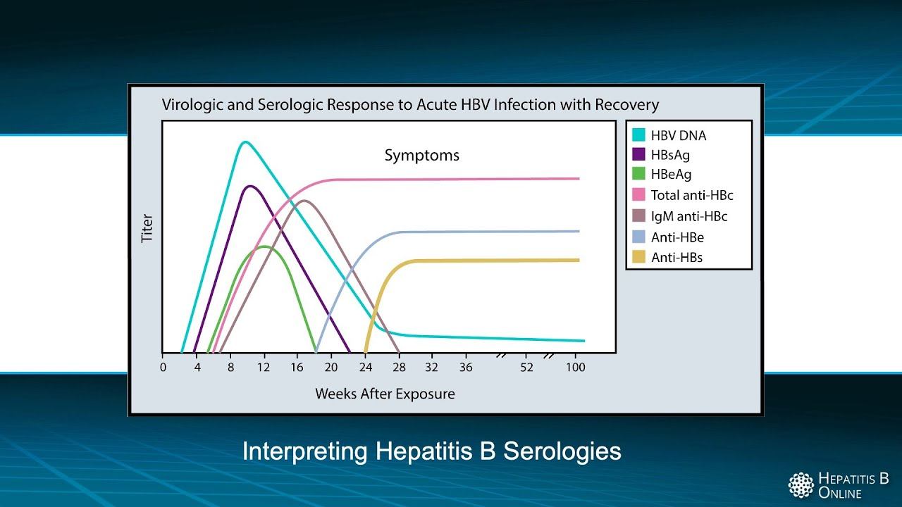 Interpreting Hepatitis B Serologies смотреть онлайн