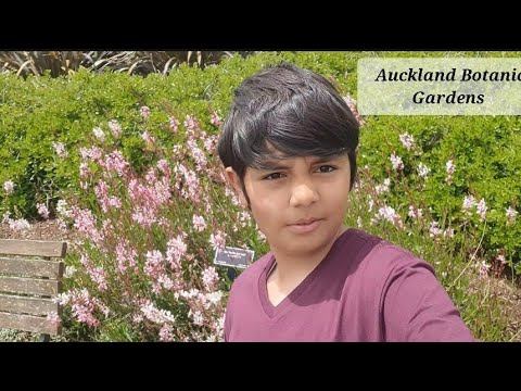 Auckland Botanic Gardens l M $quare traveller смотреть онлайн
