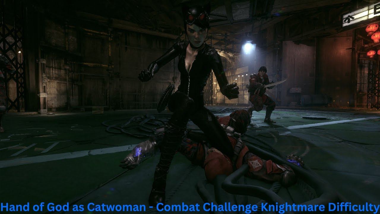 This is how a lore accurate Catwoman should fight in Batman: Arkham Knight (Flawless Combat) смотреть онлайн