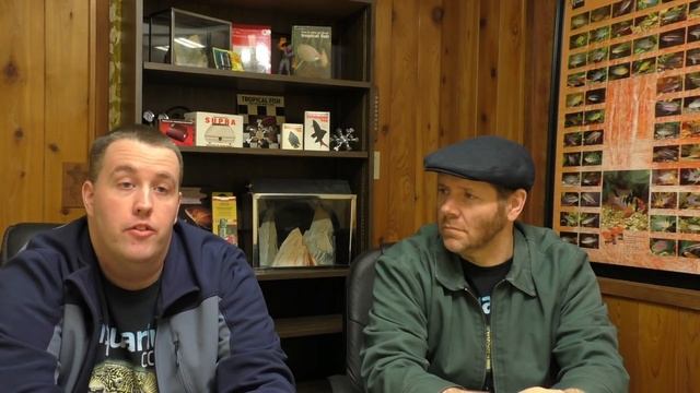 How Many Neon Tetras in a School? Cardinal Tetra School? Paracheirodon innesi axelrodi смотреть онлайн