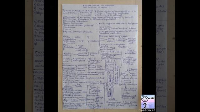 Breathing And Exchange Of Gases Short Notes | Important Points | Ncert | Neet
