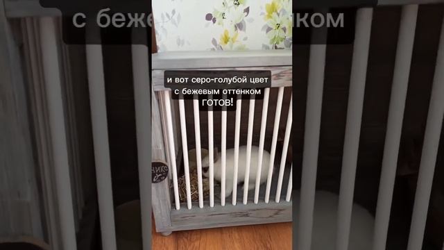 КЛЕТКА-ПУФИК