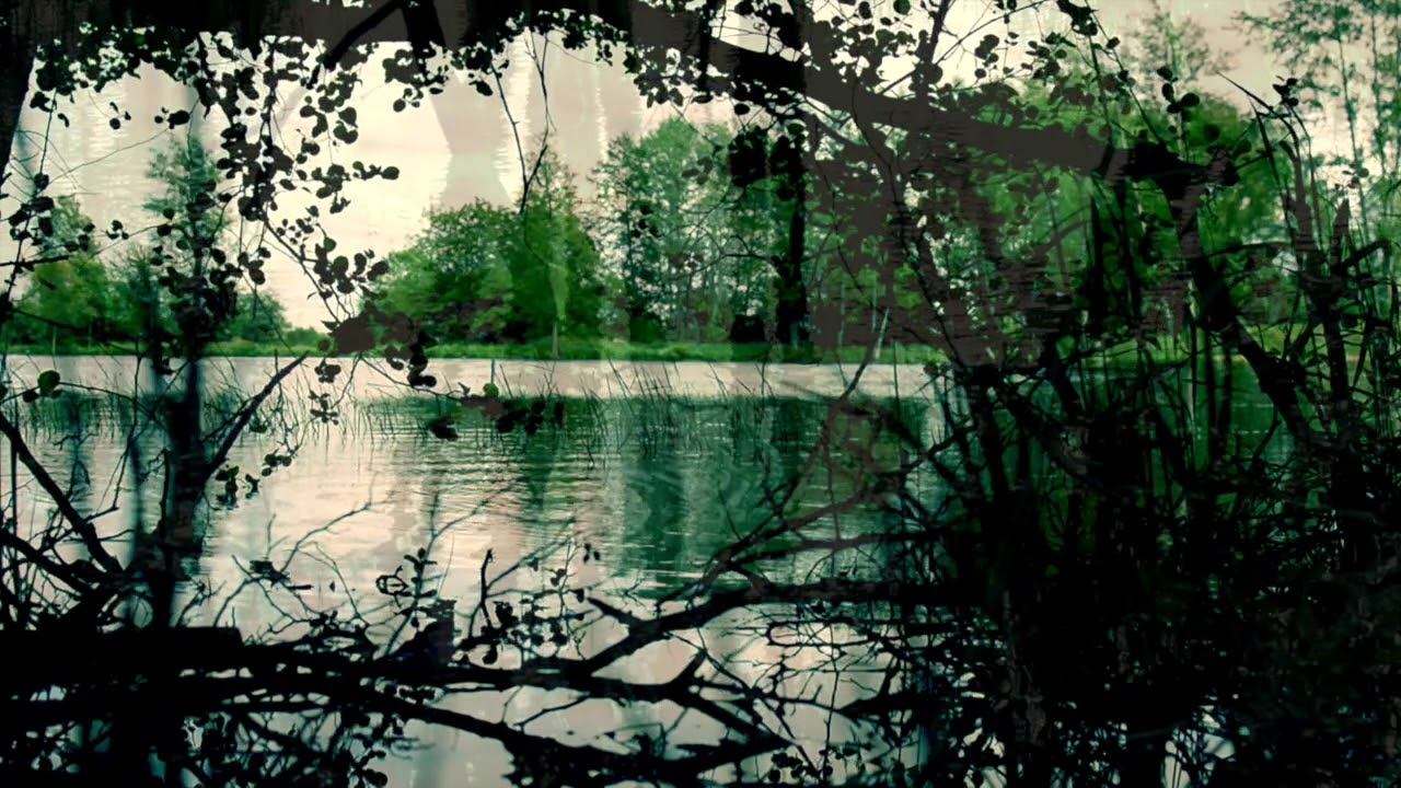 Reflection смотреть онлайн