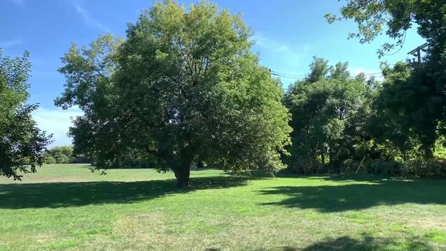 SOLD: 22 East Haven Dr. Suite 313 смотреть онлайн