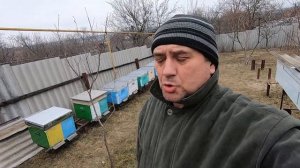 ✅БОРЬБА с КЛЕЩЕМ варроа весной! #ПЧЕЛОВОДСТВО9 начинающим с нуля!