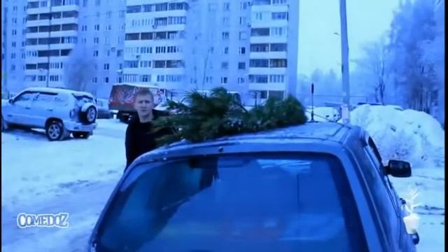 Вырезка из Павлика смотреть онлайн