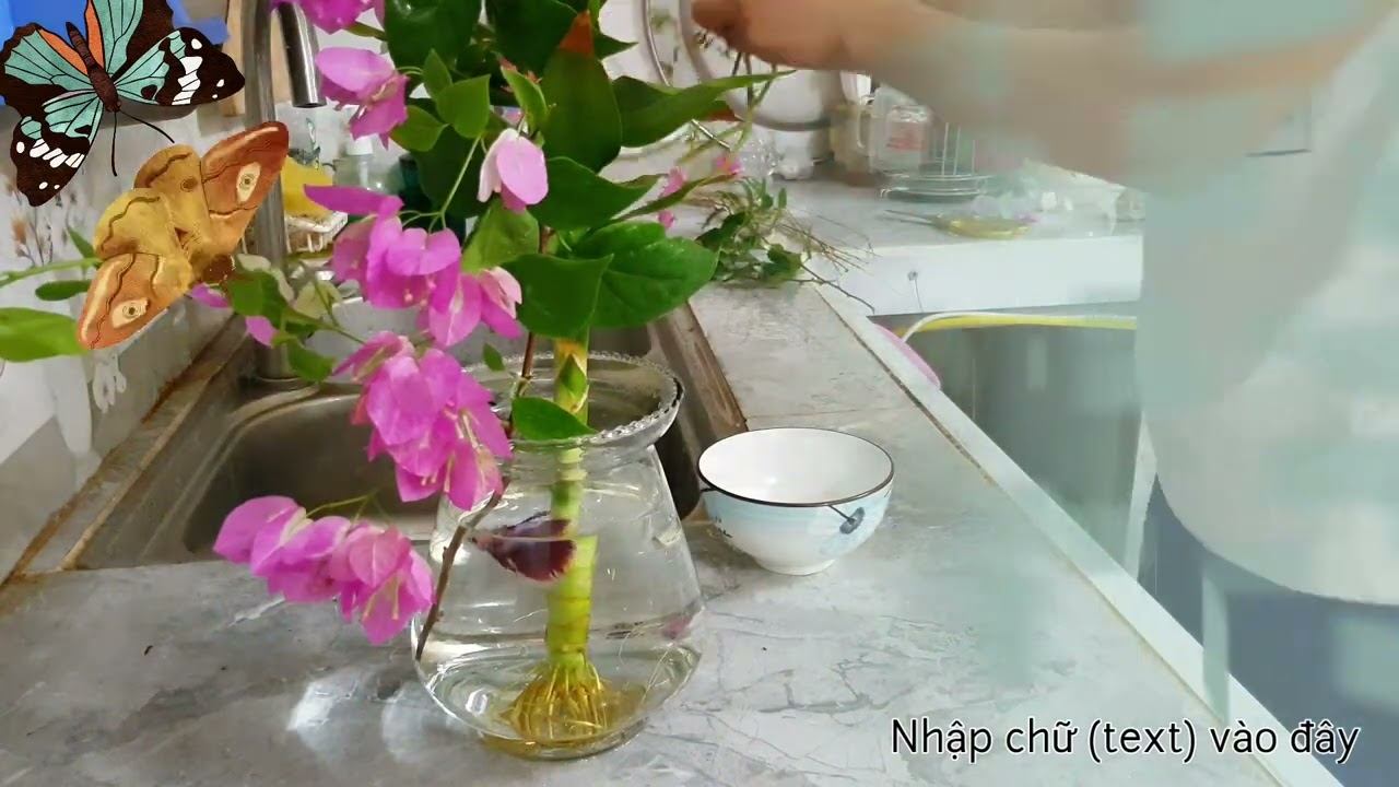 Fish and flower - ваза и цветов смотреть онлайн