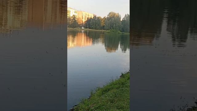 Ангарские пруды