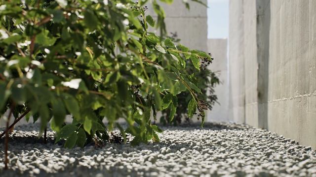 Unreal Engine 5 - First Look