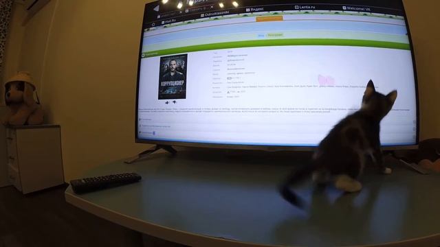Один день из жизни кота Кузи (2) Новый персонаж!!! смотреть онлайн