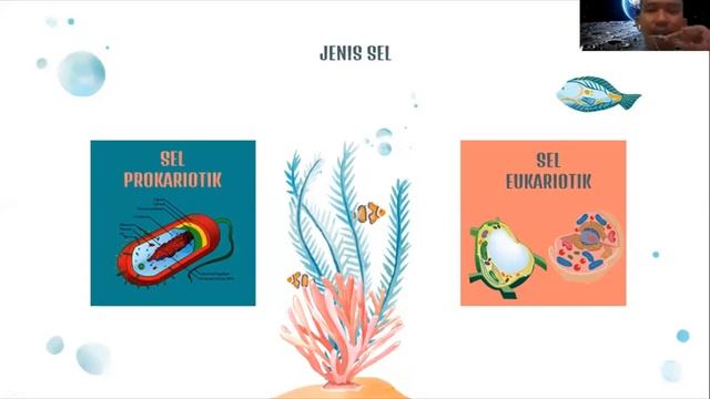 Biologi Kelas XI - Konsep Dasar Sel || Seri Pembelajaran Daring смотреть онлайн