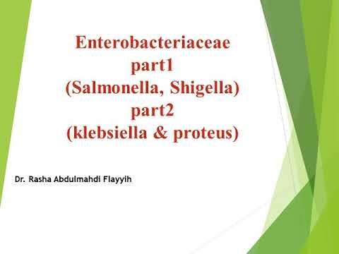 مايكرو نظري - المحاضرة الاولى د. رشا عبد المهدي ( Salmonella and Shigella ) смотреть онлайн