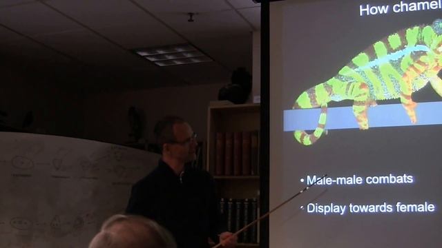 Michael Milinovitch -- 10-12-16 смотреть онлайн