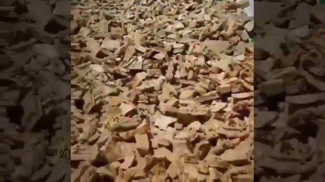 Кухня для любителей кино