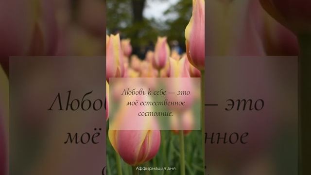 1💖🧩 Что думаю и окрашиваю медитатиным состоянием есть МОЯ СУДЬБА #Аффирмациядня #позитианоемышление смотреть онлайн