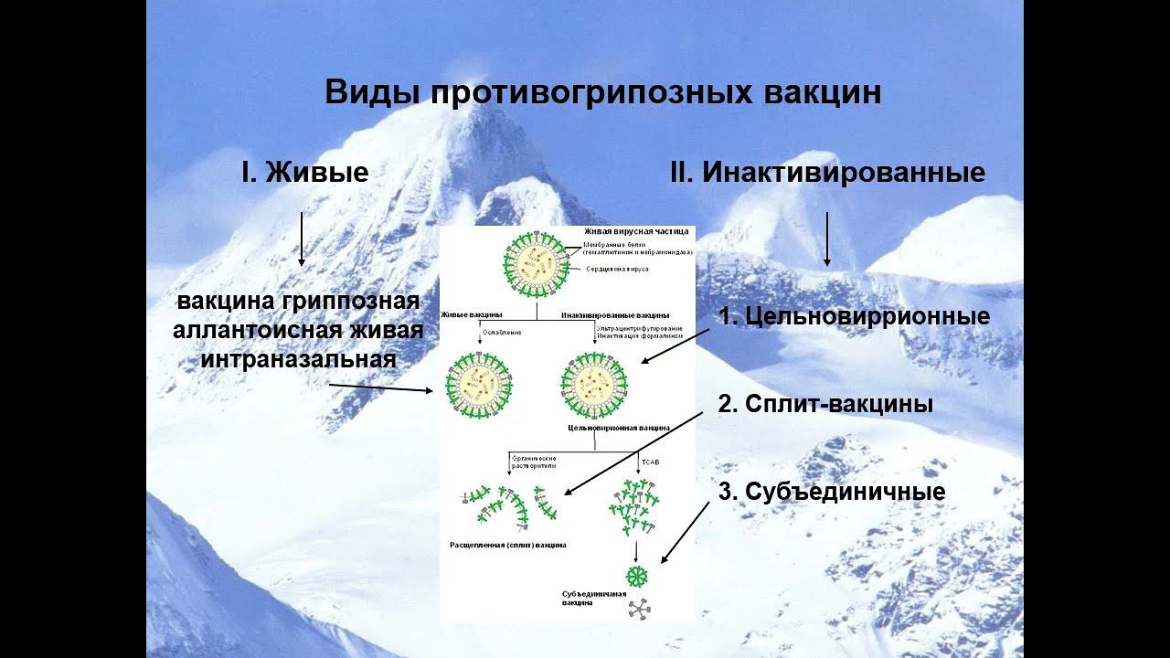 Грипп 2021 смотреть онлайн