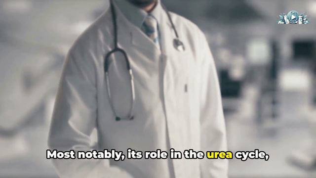 Benefits of Citrulline and Whether It’s Safe to Take смотреть онлайн