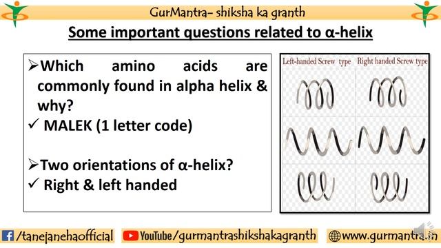 Secondary Structure of Protein | alpha helix | beta pleated sheets | biochemistry смотреть онлайн