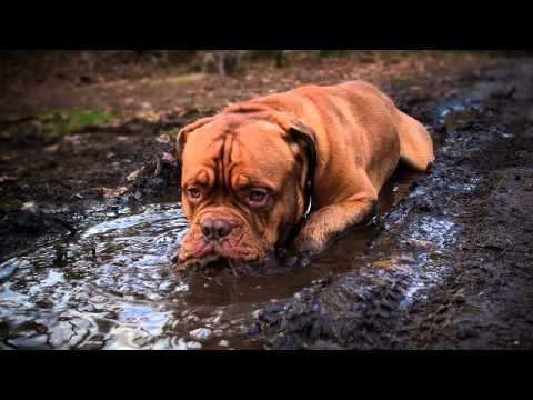 Слушать самую хорошую русскую песню на тв смотреть смотреть онлайн