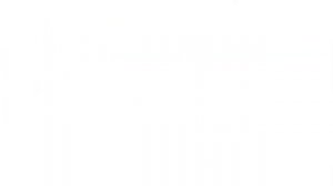 Три склонения имён существительных