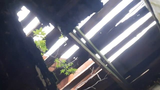 поселок Шоссе, кромской р-н, Орловская область смотреть онлайн