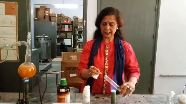 Microbiology Sem 6 Paper 601 Prac Amylase Fermentation Demo EP 24 смотреть онлайн