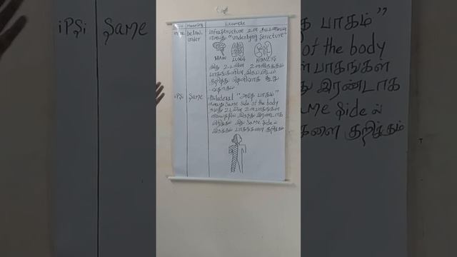 prefixes, suffixes and roots in Tamil part 17 смотреть онлайн