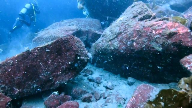 Diving in Sechelt, BC, Canada смотреть онлайн